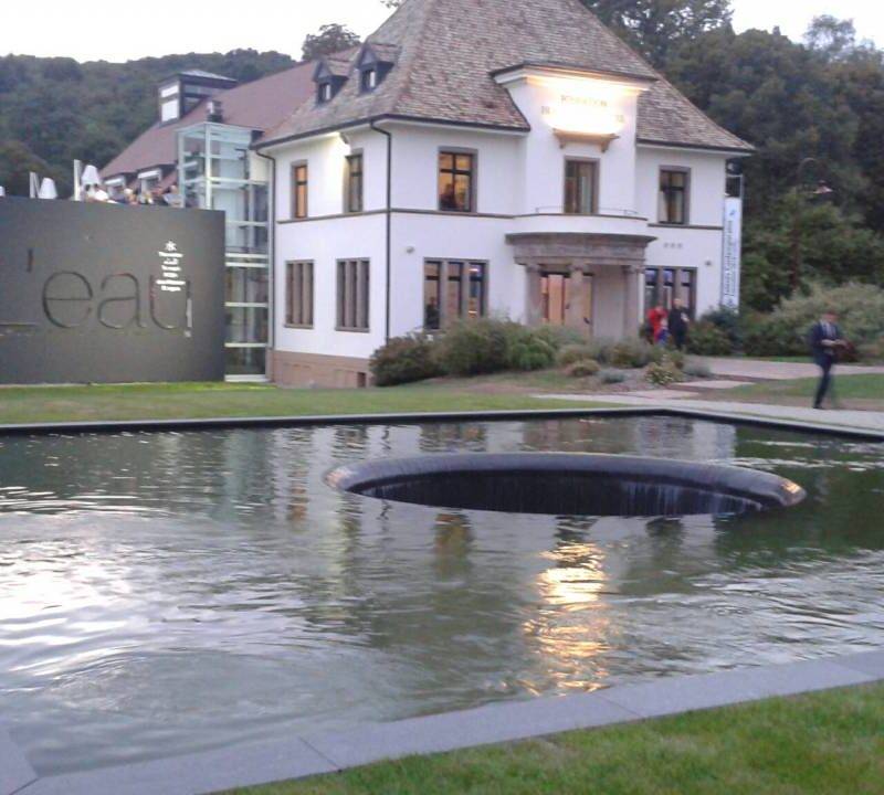 Aménagement de bassin &#038; création de piscine naturelle à Colmar et alentours Kingersheim 3