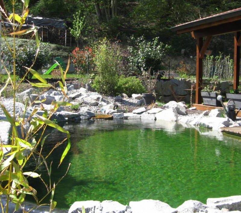 Aménagement de bassin &#038; création de piscine naturelle à Colmar et alentours Sélestat 1