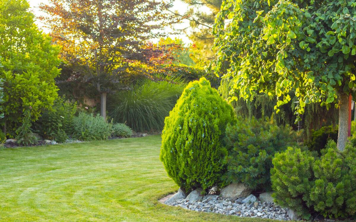 Aménagement paysager à Colmar : création de plantation pour vos espaces verts et jardins Rixheim